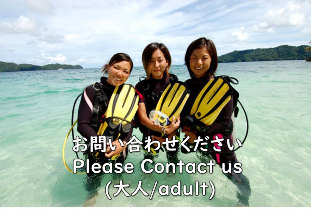ダイビングライセンス取得 アイキャッチ画像 220701